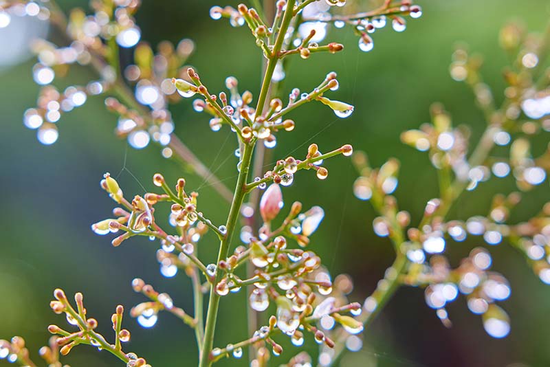 Private-Guided-Yoga-Right