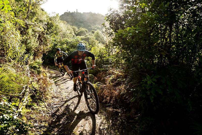 Ultimate Ride & Cruise-Left